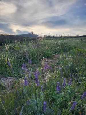 Paesaggio naturale nelle vicinanze del campeggio