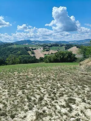 Paesaggio naturale nelle vicinanze dell'agriturismo