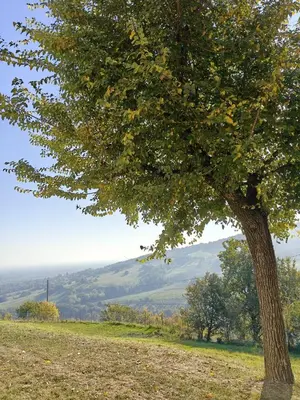 Paesaggio naturale nelle vicinanze della casa vacanze