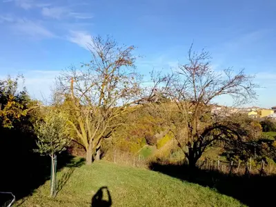Paesaggio naturale nelle vicinanze della casa vacanze