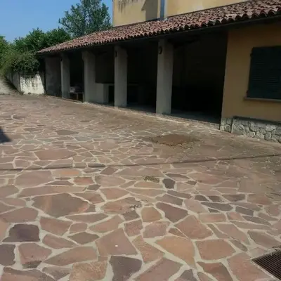 Alma Lupi