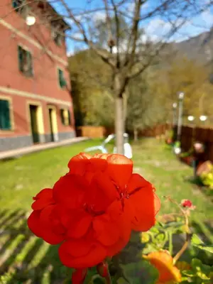 Giardino di Villa Bella bed and breakfast
