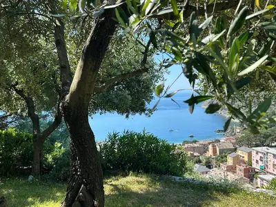 Paesaggio naturale nelle vicinanze dell'appartamento