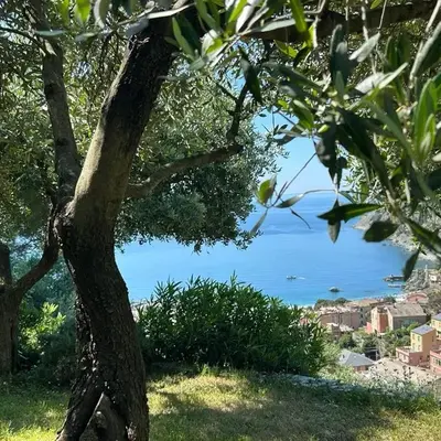 Villa Renata - amazing sea view garden terrrace
