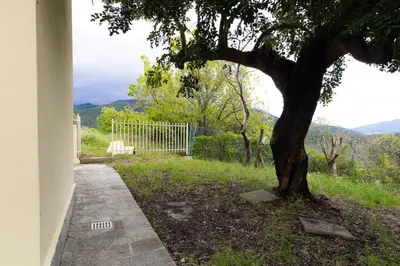 Paesaggio naturale nelle vicinanze dell'appartamento