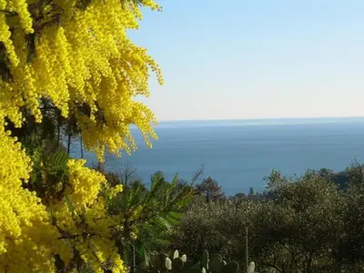Paesaggio naturale nelle vicinanze dell'appartamento
