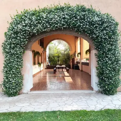Casa MoSa