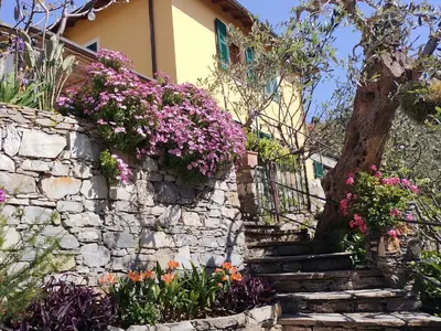 Giardino di L'Alcova tra gli ulivi