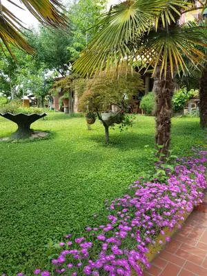 Giardino di Hotel Due Fontane