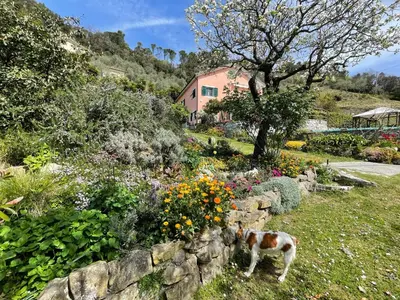 Giardino di Eucalipto