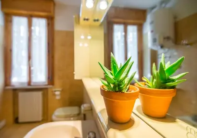 Bagno di Il Melograno, appartamento privato