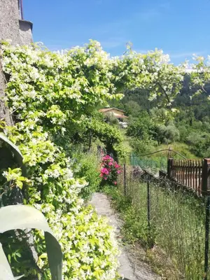 Giardino di Bettyhouse