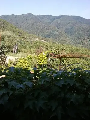 Paesaggio naturale nelle vicinanze del bed & breakfast