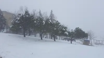 Allevamento B&B durante l'inverno