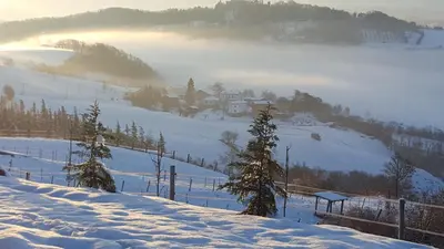 Allevamento B&B durante l'inverno