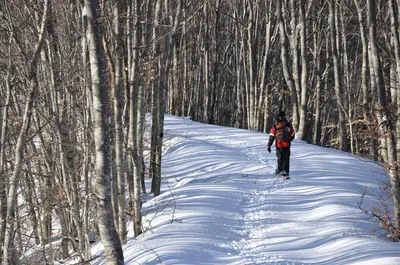 Tana Degli Orsi durante l'inverno