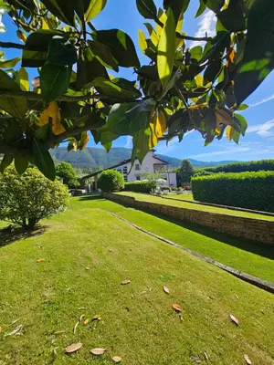 Paesaggio naturale nelle vicinanze della villa