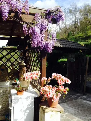 Giardino di Il Ghiro B&B