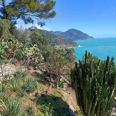 Paesaggio naturale nelle vicinanze del bed & breakfast