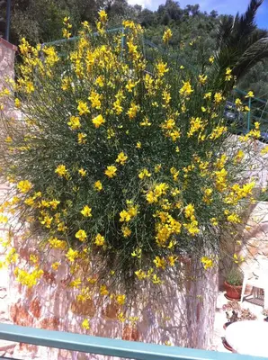 Giardino di Ca' di Bianca