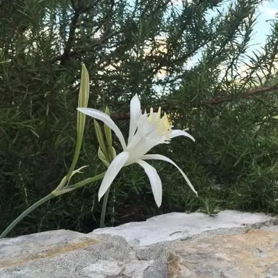 Ca' di Bianca