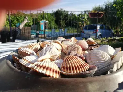 Cibo presso la casa vacanze o nelle vicinanze