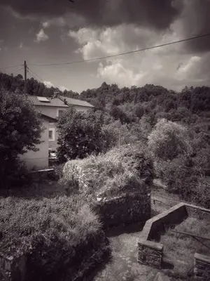 Paesaggio naturale nelle vicinanze of country house