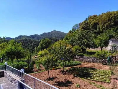 Paesaggio naturale nelle vicinanze of country house