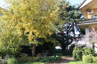 Giardino di Il Giardino
