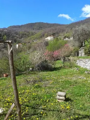 Paesaggio naturale nelle vicinanze dell'affittacamere