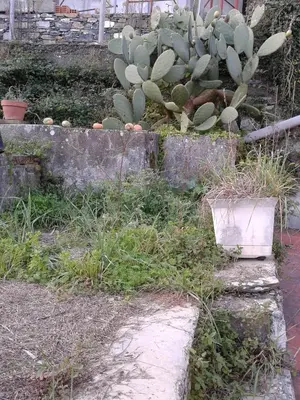 Giardino di Rural House Rondini