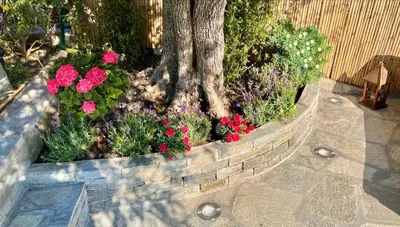 Giardino di Foglie d'Argento