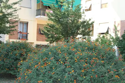Giardino di Affittacamere La Perla
