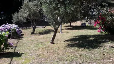 Giardino di Arvasia