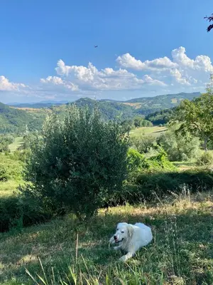 Paesaggio naturale nelle vicinanze del bed & breakfast