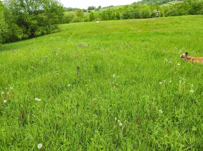 Paesaggio naturale nelle vicinanze del bed & breakfast