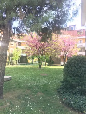 Giardino di Il Contrabbasso