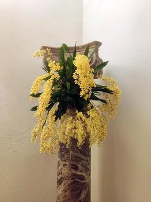 Planimetria di La Casa nel Borgo
