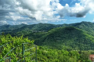 Paesaggio naturale nelle vicinanze del bed & breakfast