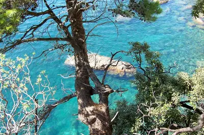 Paesaggio naturale nelle vicinanze del campeggio