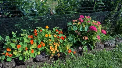 Giardino di Borgo Foce La Spezia