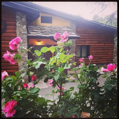 Giardino di Trout Lodge