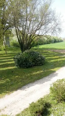 Giardino di Agriturismo San Bruno