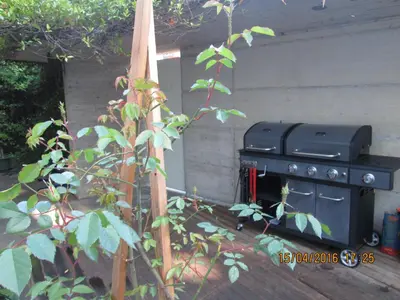 Attrezzature per barbecue disponibili per gli ospiti del bed & breakfast
