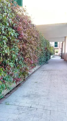 Planimetria di Andrea apartment