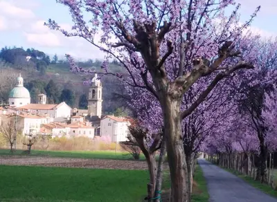 Paesaggio naturale nelle vicinanze del bed & breakfast