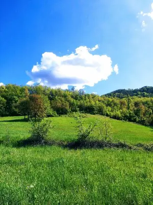 Paesaggio naturale nelle vicinanze dell'agriturismo