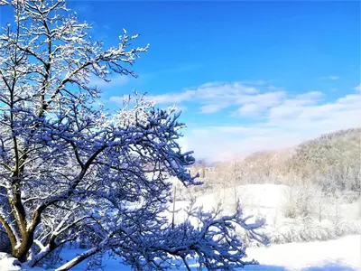 Agriturismo Malvista durante l'inverno