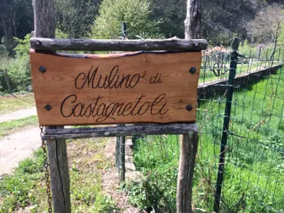 Planimetria di Magic Mill Castagnetoli
