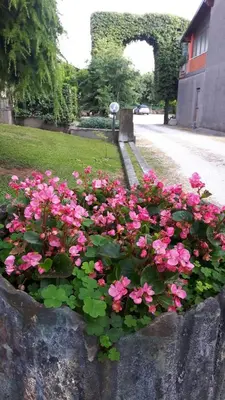 Giardino di Hotel Armida